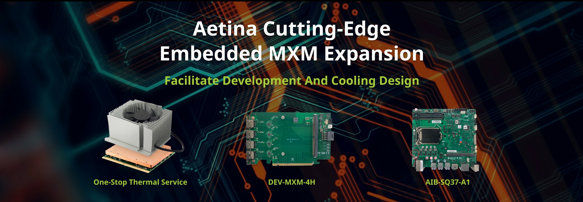Embedded MXM Expansion