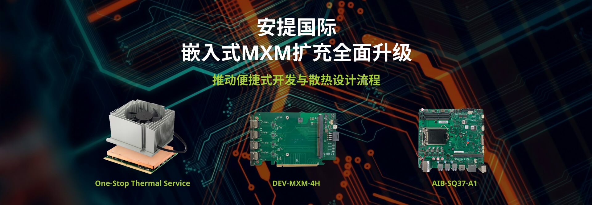 Embedded MXM Expansion